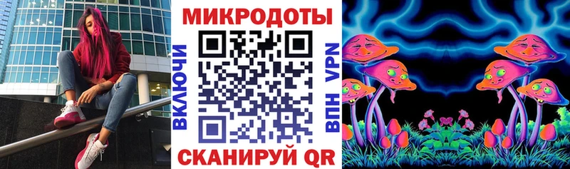 где купить наркотик  Тверь  Псилоцибиновые грибы GOLDEN TEACHER 