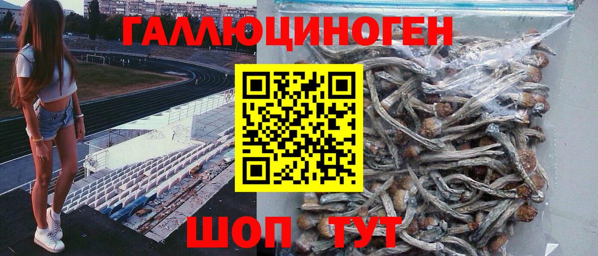 Тверь  Псилоцибиновые грибы мицелий  Вход с VPN 