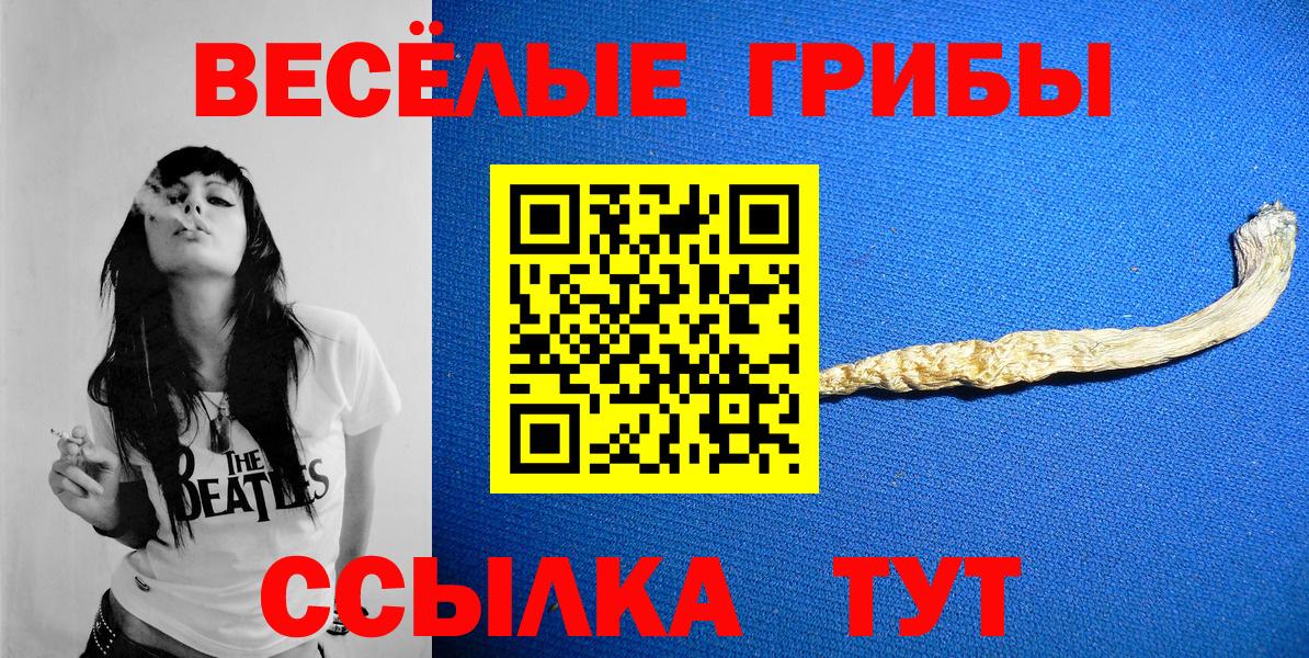Псилоцибиновые грибы Psilocybine cubensis Тверь